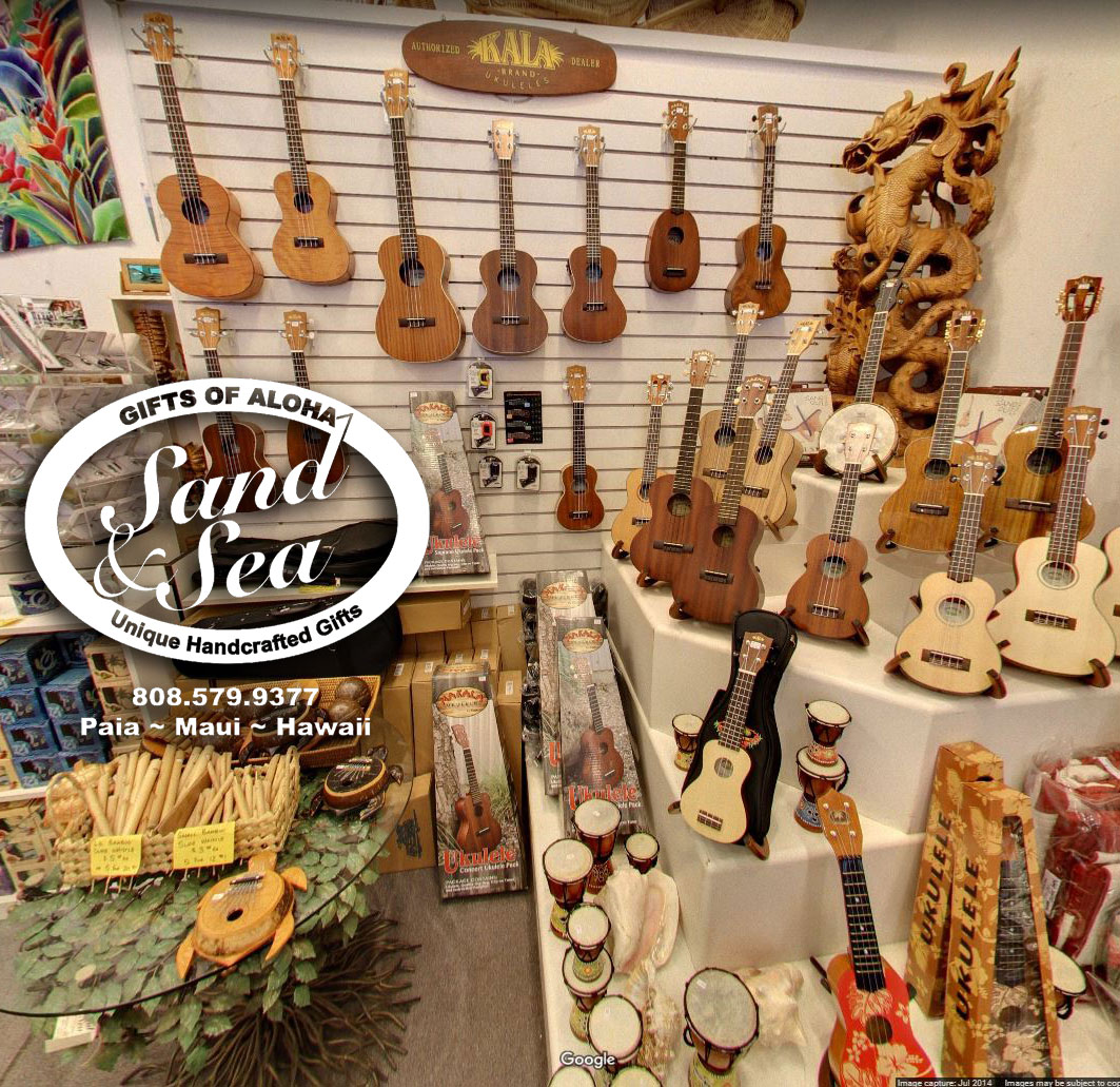 Paia Musical Instruments